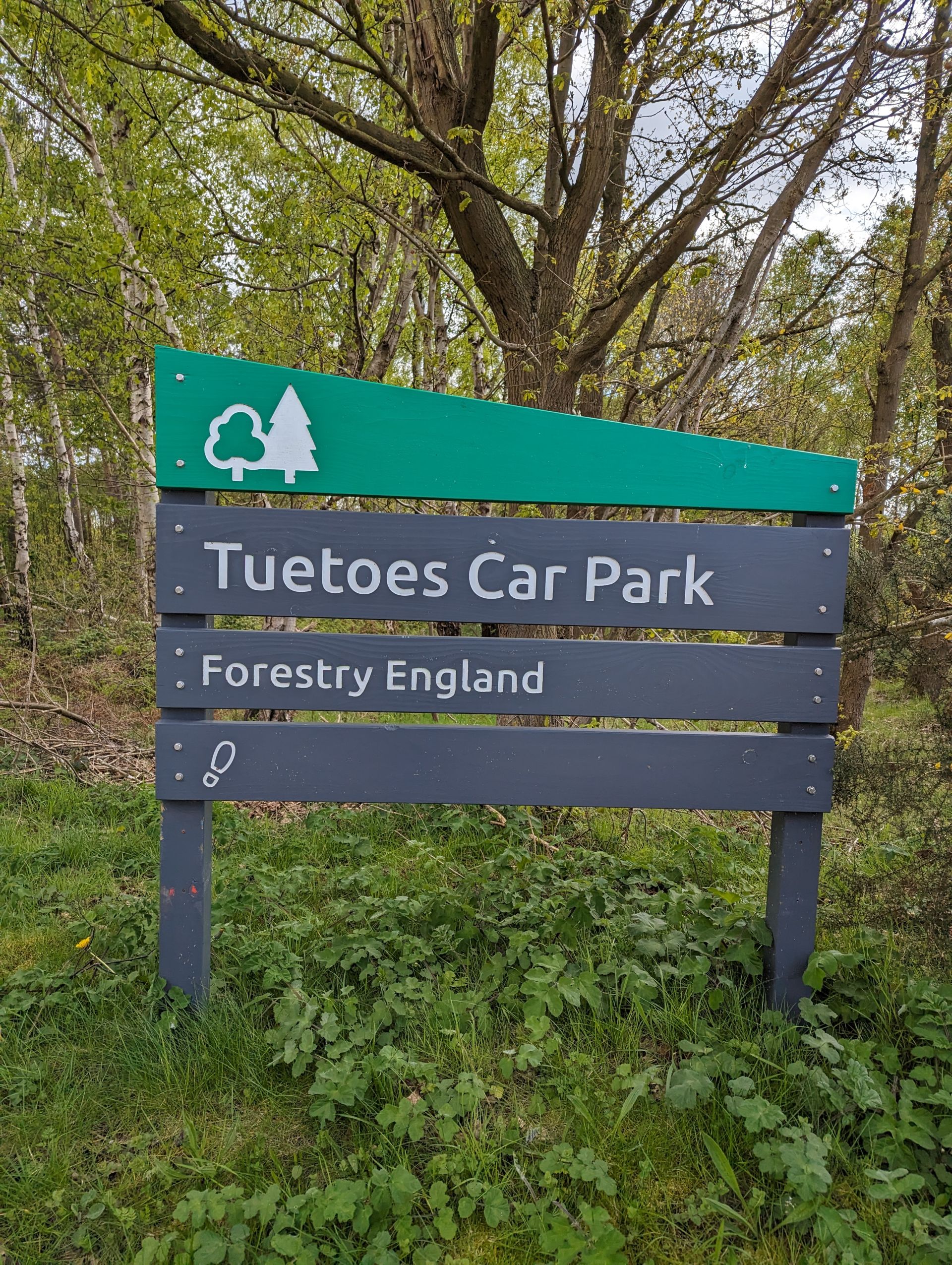 Laughton Woods